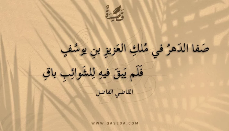 قصيدة صفا الدهر في ملك العزيز بن يوسف