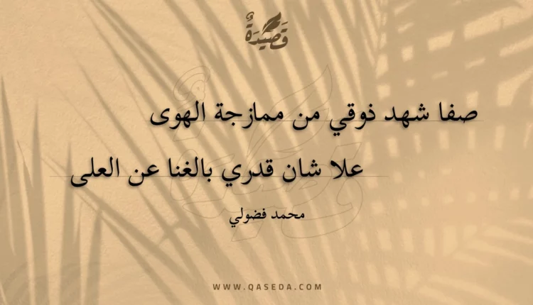 قصيدة صفا شهد ذوقي من ممازجة الهوى