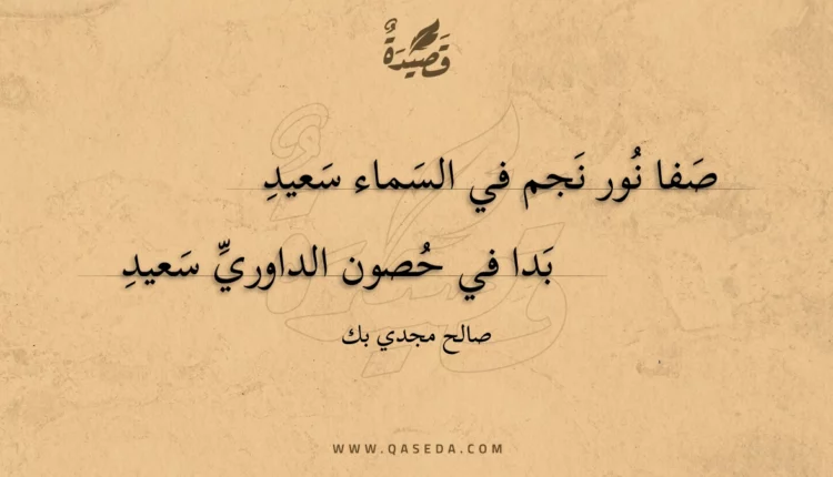 قصيدة صفا نور نجم في السماء سعيد