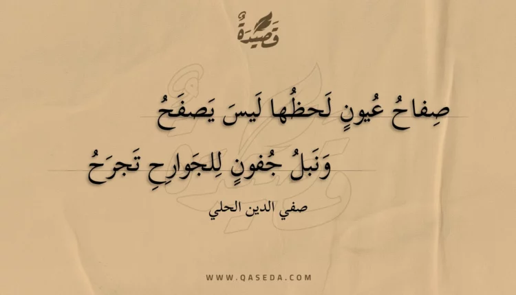 قصيدة صفاح عيون لحظها ليس يصفح