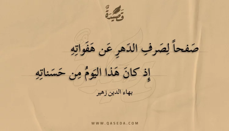 قصيدة صفحا لصرف الدهر عن هفواته