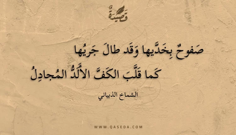 قصيدة صفوح بخديها وقد طال جريها