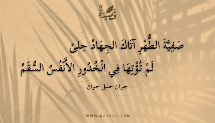 قصيدة صفية الطهر آتاك الجهاد حلى