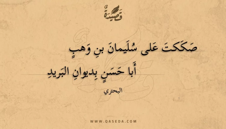 قصيدة صككت على سليمان بن وهب