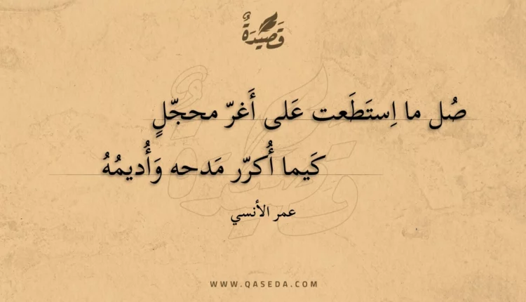 قصيدة صل ما استطعت على أغر محجل