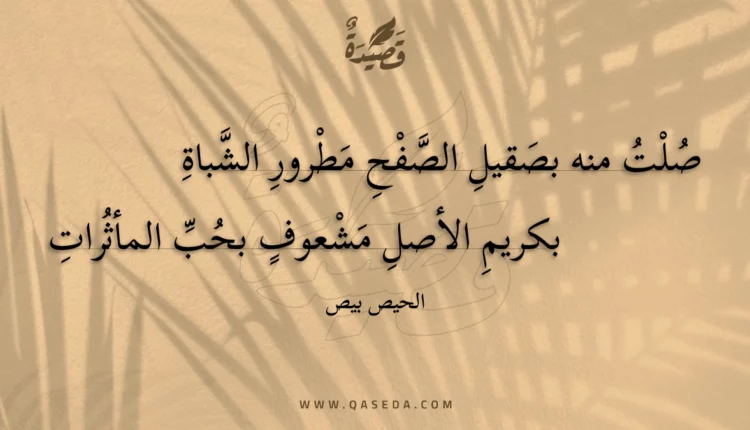 قصيدة صلت منه بصقيل الصفح مطرور الشباة