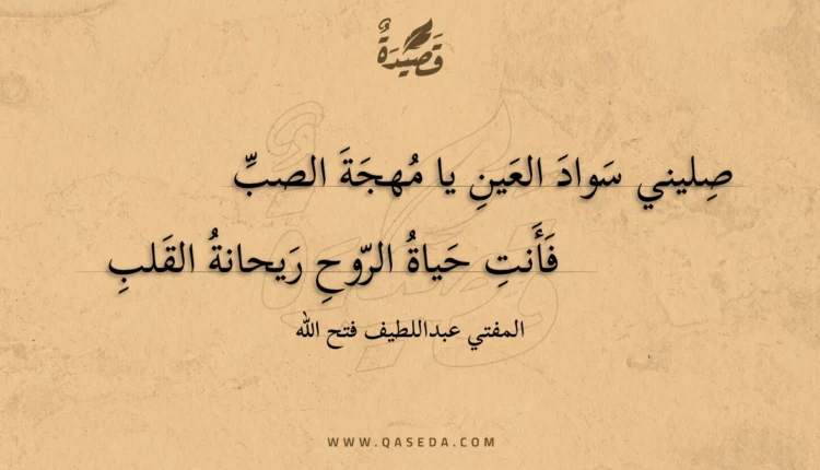قصيدة صليني سواد العين يا مهجة الصب