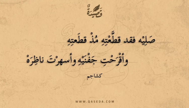 قصيدة صليه فقد قطعته مذ قطعته
