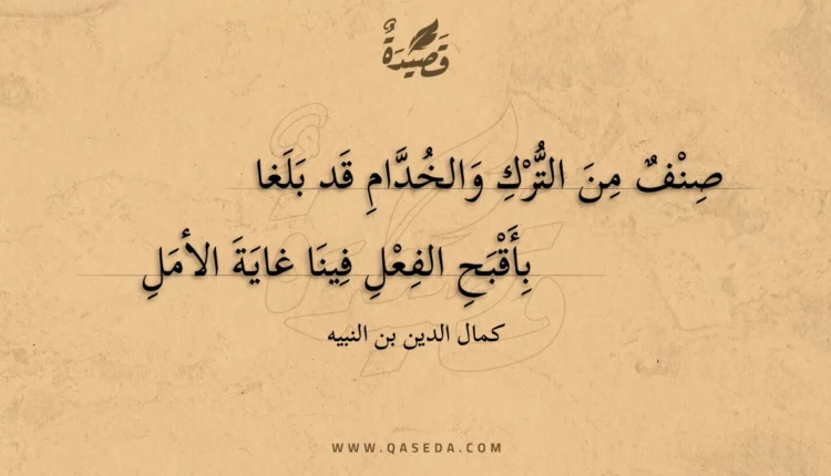 قصيدة صنف من الترك والخدام قد بلغا