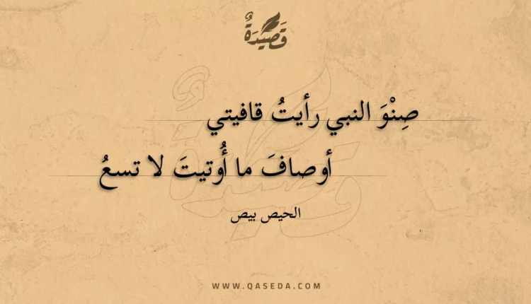 قصيدة صنو النبي رأيت قافيتي