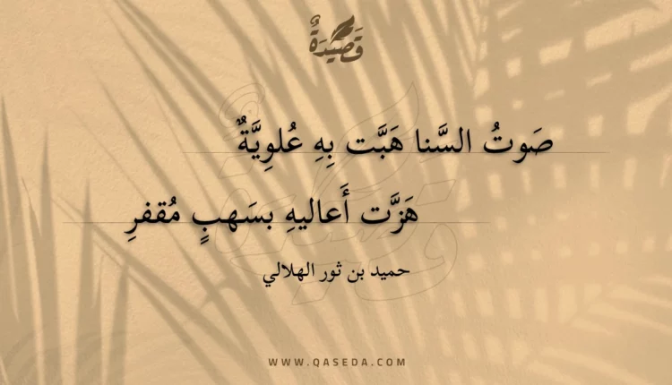 قصيدة صوت السنا هبت به علوية