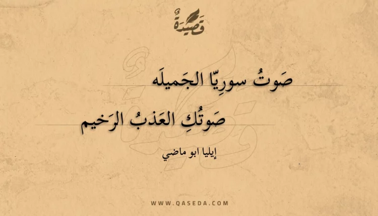 قصيدة صوت سوريا الجميله