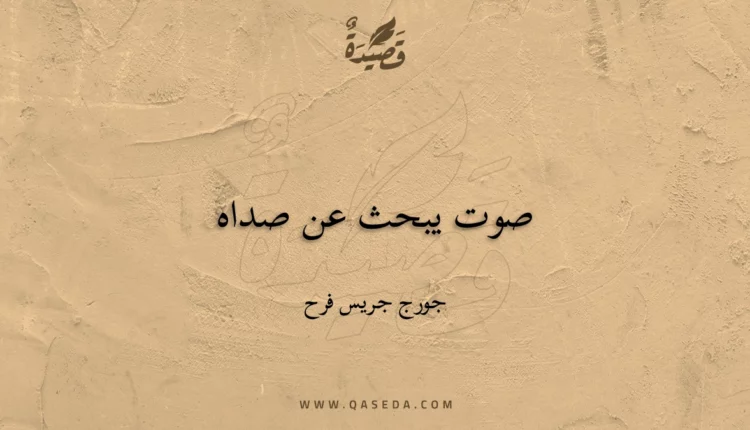 قصيدة صوت يبحث عن صداه