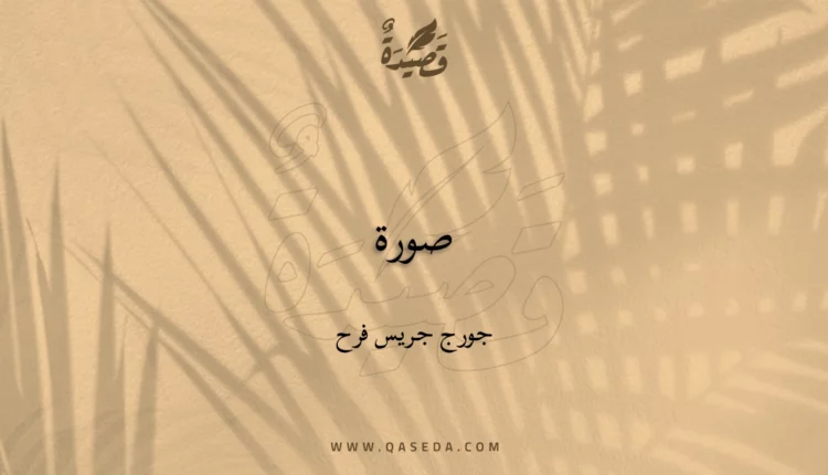 قصيدة صورة