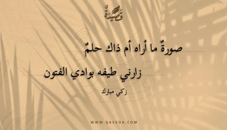 قصيدة صورة ما أراه أم ذاك حلم