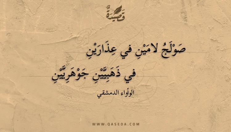 قصيدة صولج لامين في عذارين