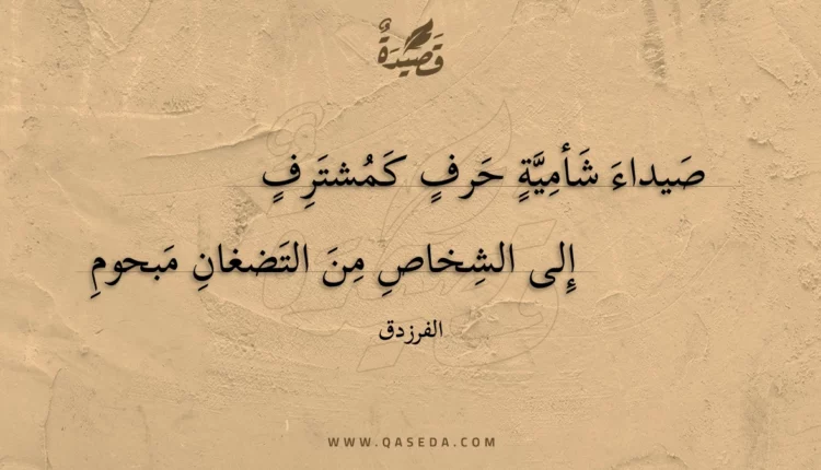 قصيدة صيداء شأمية حرف كمشترف