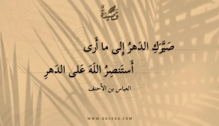 قصيدة صيرك الدهر إلى ما أرى