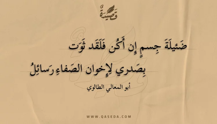 قصيدة ضئيلة جسم إن أكن فلقد ثوت