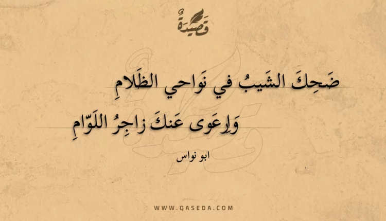 قصيدة ضحك الشيب في نواحي الظلام