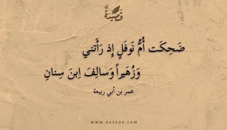قصيدة ضحكت أم نوفل إذ رأتني