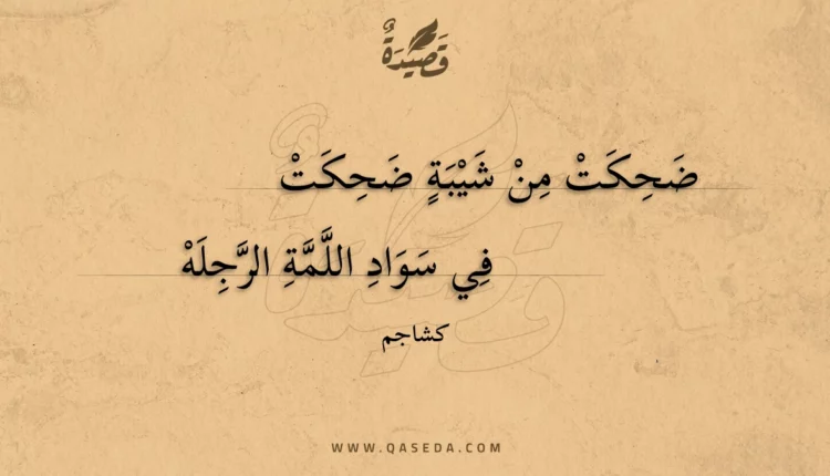 قصيدة ضحكت من شيبة ضحكت