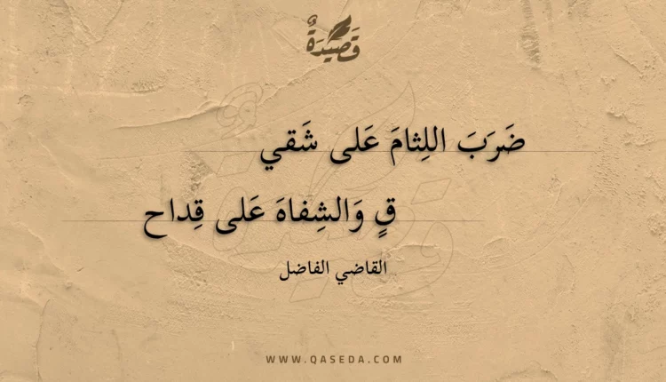 قصيدة ضرب اللثام على شقي