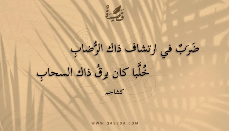 قصيدة ضرب في ارتشاف ذاك الرضاب