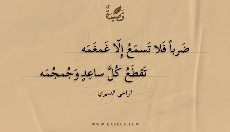 قصيدة ضربا فلا تسمع إلا غمغمه