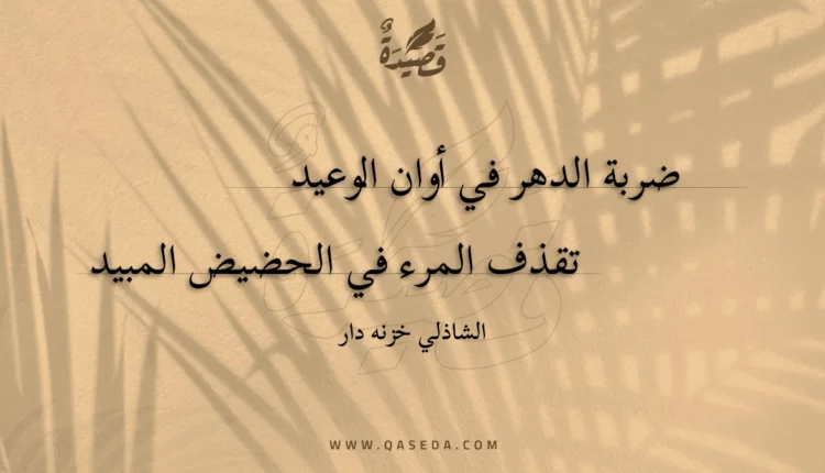 قصيدة ضربة الدهر في أوان الوعيد