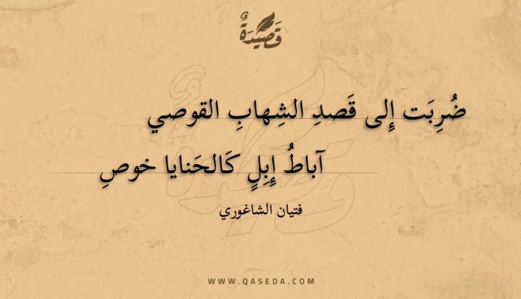 قصيدة ضربت إلى قصد الشهاب القوصي