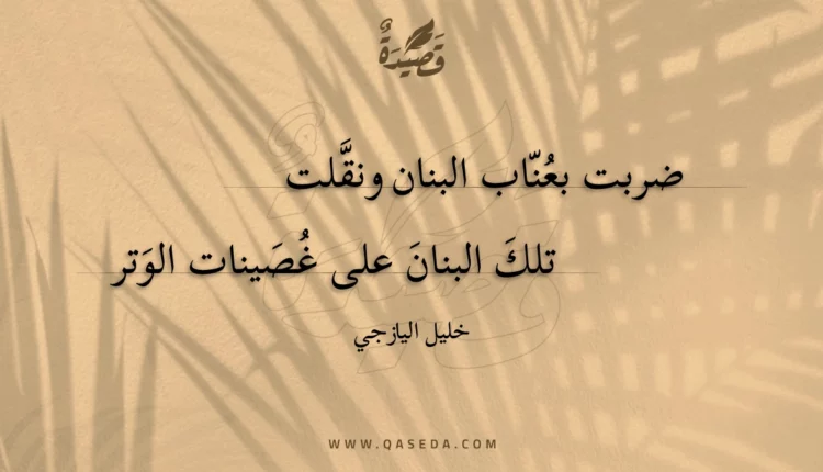 قصيدة ضربت بعناب البنان ونقلت