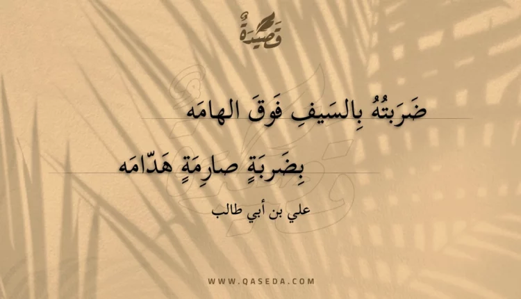 قصيدة ضربته بالسيف فوق الهامه