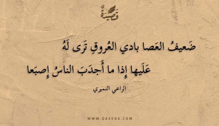 قصيدة ضعيف العصا بادي العروق ترى له