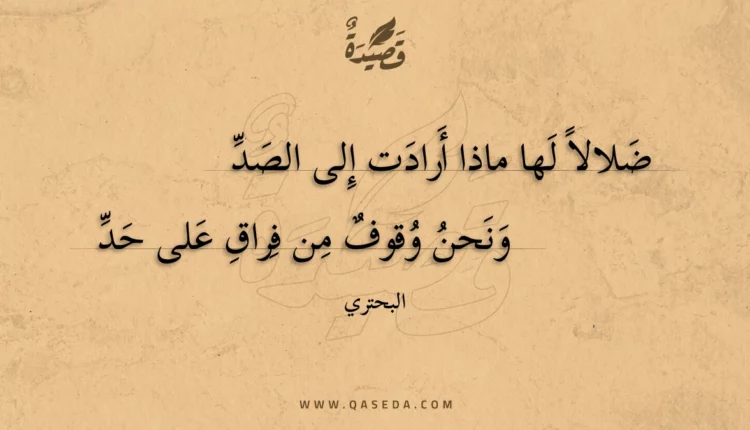 قصيدة ضلالا لها ماذا أرادت إلى الصد