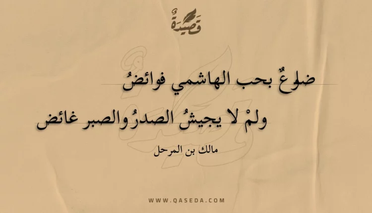 قصيدة ضلوع بحب الهاشمي فوائض