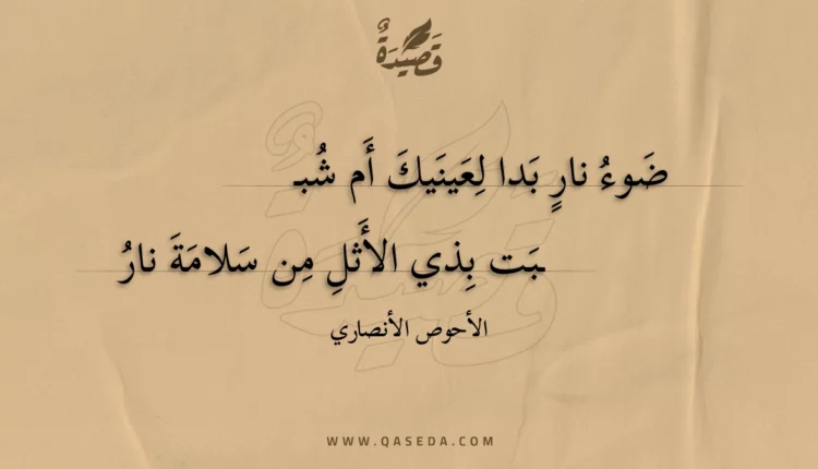قصيدة ضوء نار بدا لعينيك أم شب