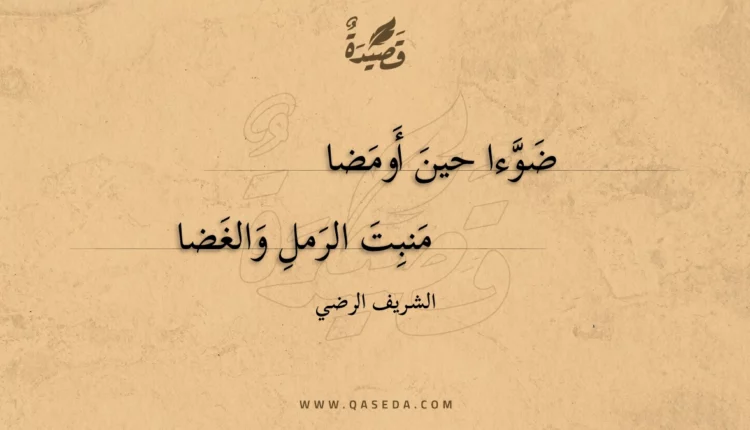 قصيدة ضوءا حين أومضا