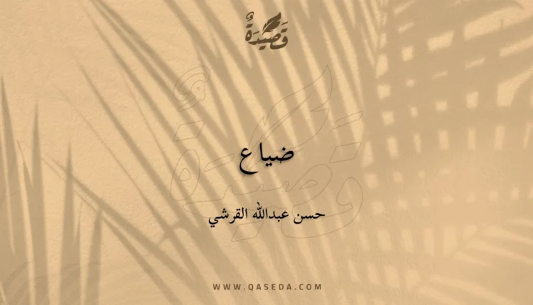 قصيدة ضياع