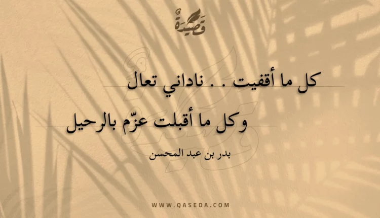 قصيدة ضيعت الدليل
