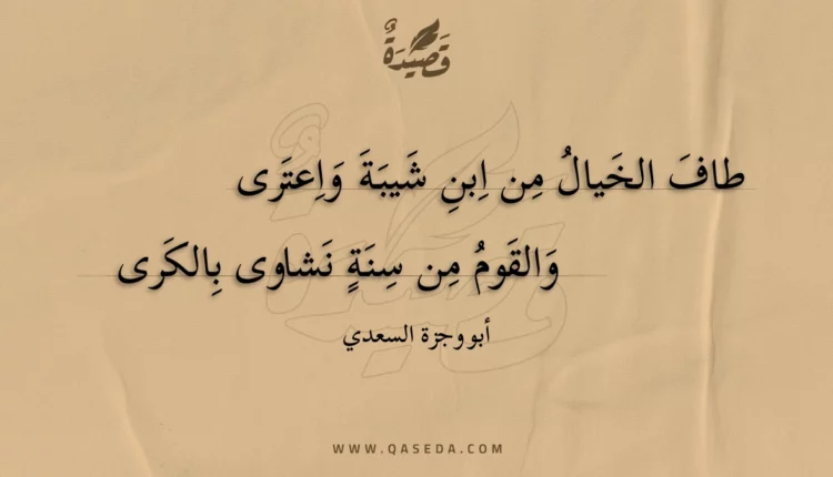 قصيدة طاف الخيال من ابن شيبة واعترى