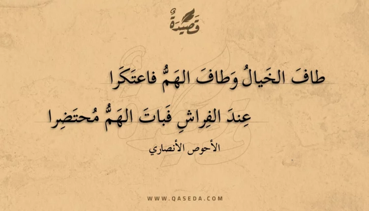 قصيدة طاف الخيال وطاف الهم فاعتكرا