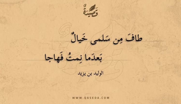 قصيدة طاف من سلمى خيال