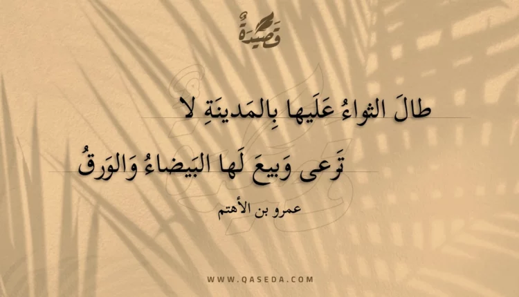 قصيدة طال الثواء عليها بالمدينة لا