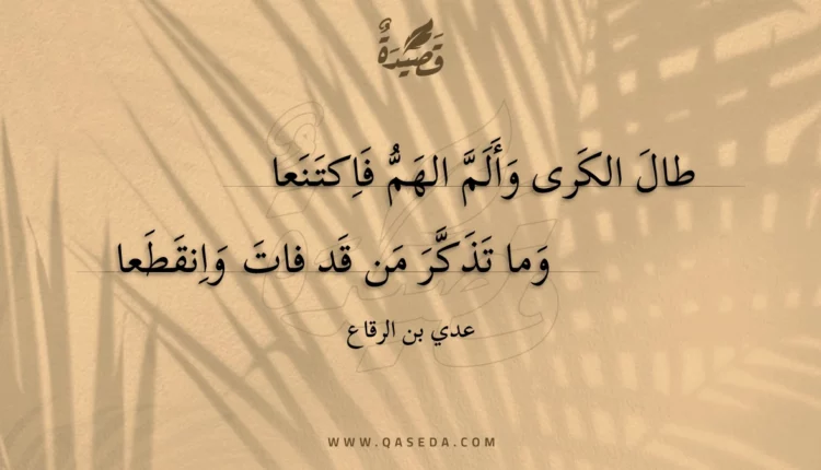 قصيدة طال الكرى وألم الهم فاكتنعا