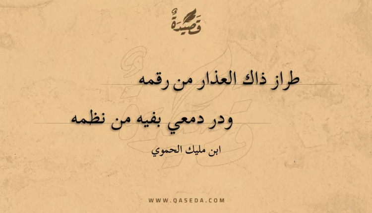 قصيدة طراز ذاك العذار من رقمه