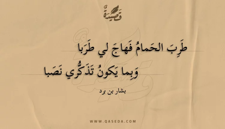 قصيدة طرب الحمام فهاج لي طربا