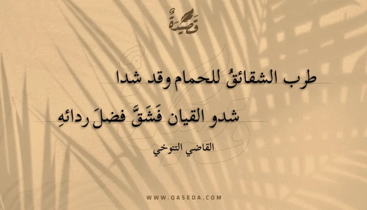 قصيدة طرب الشقائق للحمام وقد شدا