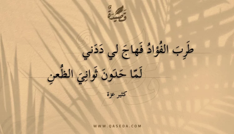 قصيدة طرب الفؤاد فهاج لي ددني