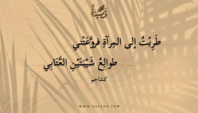 قصيدة طربت إلى المرآة فروعتني